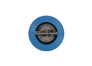 Double Plate Wafer Check Valve Butterfly Valve Pn 10/Pn16 Dengan Pegas Untuk Kelautan Dan Industri