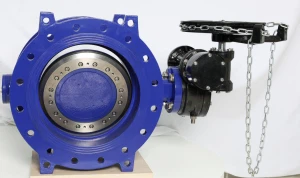 Bagaimana cara menggunakan katup kupu-kupu eksentrik ganda?